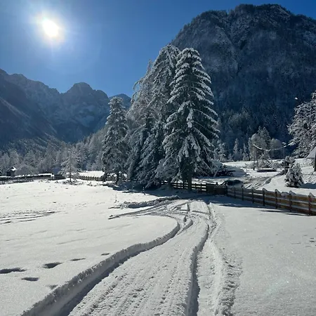 Appartamento Radovna With Panoramic View Mojstrana