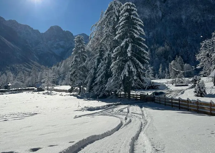 Apartman Radovna With Panoramic View Mojstrana